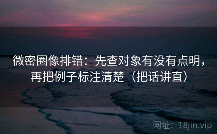 微密圈像排错：先查对象有没有点明，再把例子标注清楚（把话讲直）